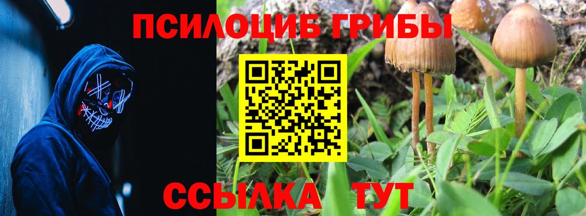 Псилоцибиновые грибы MAGIC MUSHROOMS  Галлюциногенные грибы GOLDEN TEACHER  Вход с VPN  Нижнеудинск 