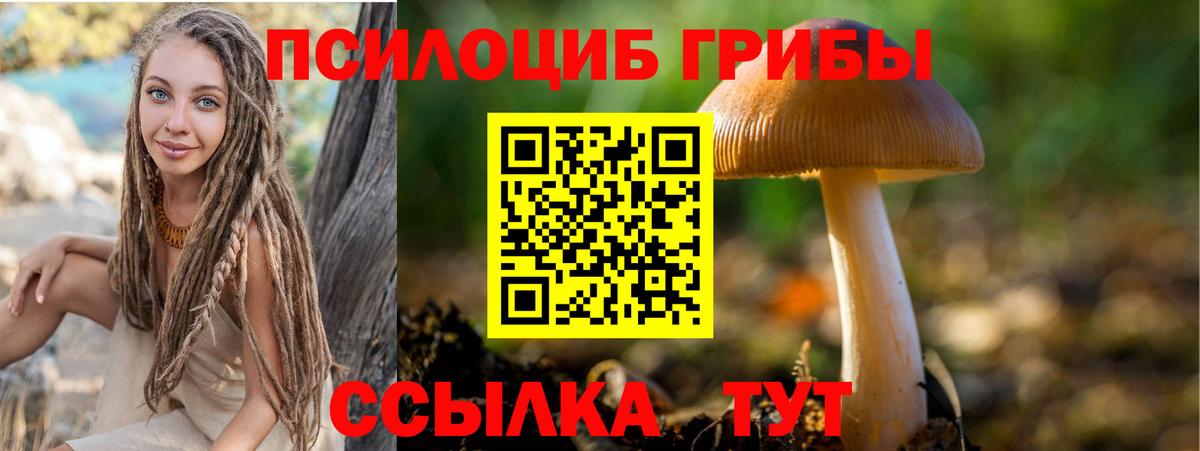 Псилоцибиновые грибы MAGIC MUSHROOMS Нижнеудинск